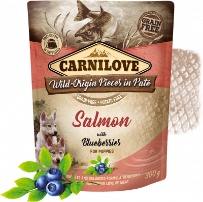 Carnilove Nassfutter für Hunde Puppy Beutel Lachs & Blaubeeren