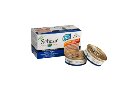 Schesir Nassfutter für Katzen Multipack Thunfisch mit Wolfsbarsch