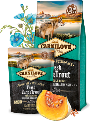 Carnilove Dog Trockenfutter für Hunde Adult Fresh- Carp & Trout