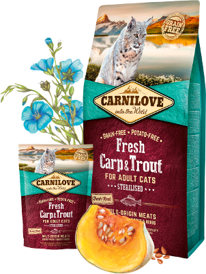 Carnilove Cat Trockenfutter für Katzen Adult Fresh - Carp & Trout