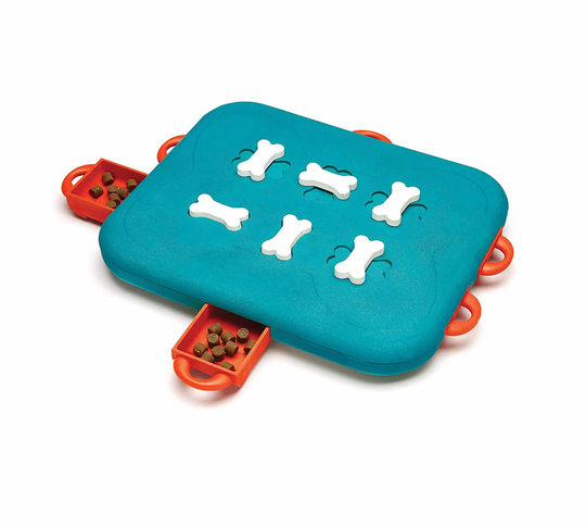 Dog Casino Turquoise