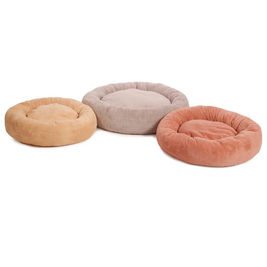 51DN - Teddy - Donut