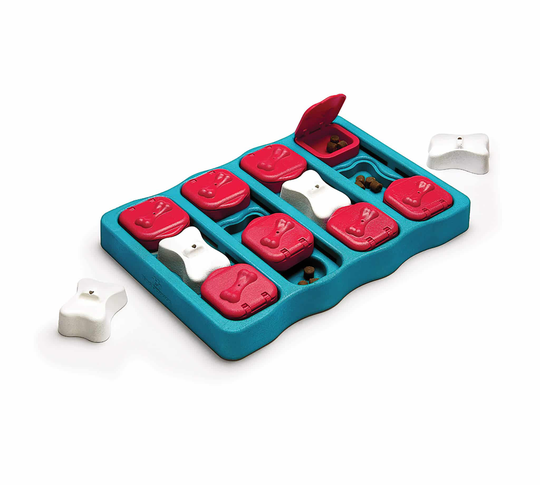 Dog Brick Blauw