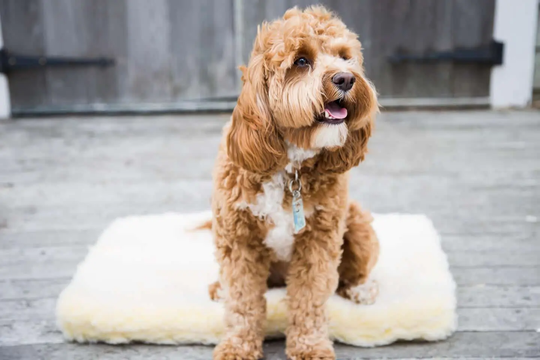 Huggle Hound Fleece Hundematte