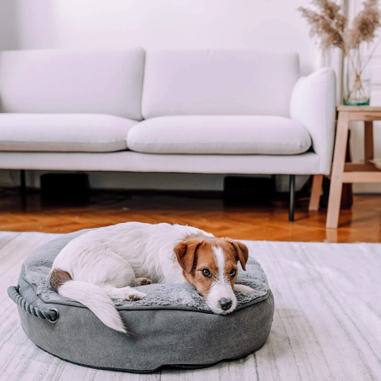 District 70 SNUG Pouf