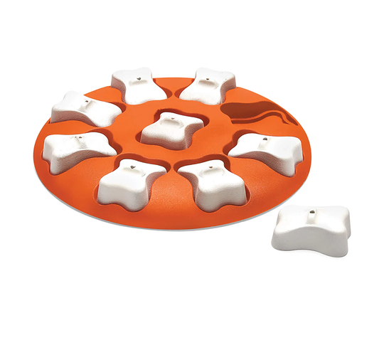 Dog Smart Oranje