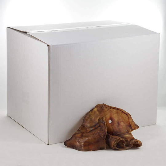 Canius Hundesnacks Schweineohren 50g x 100St