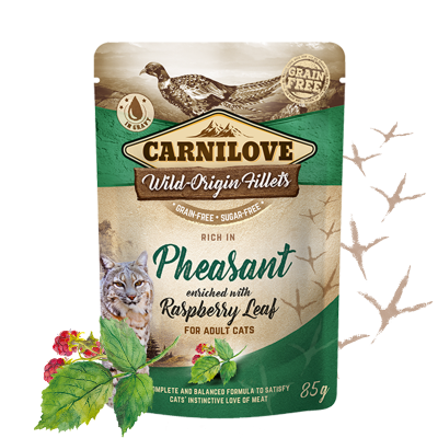 Carnilove Nassfutter für Katze Rich in Pheasant enriched with Raspberry