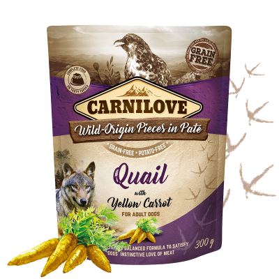 Carnilove Nassfutter für Hunde Adult Beutel Wachtel & gelbe Karotte